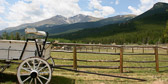 Long's Peak with carriage and meadow.